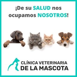 VETERINARIA CLINICA DE LA MASCOTA 