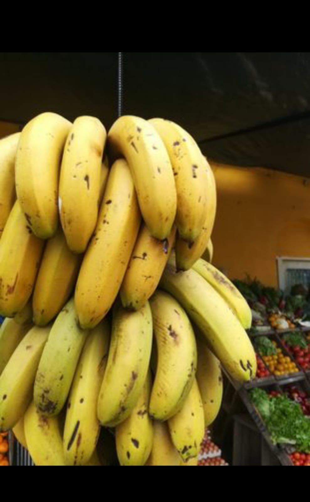 EL MOAIS banana 