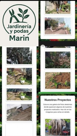 JARDINERIA Y PODAS MARIN 