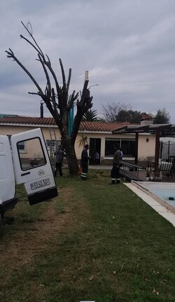 JARDINERIA Y PODAS MARIN 