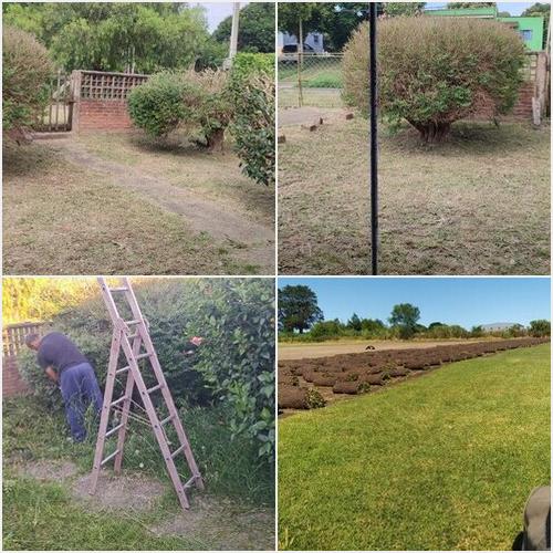 Jardinería y Podas Marin