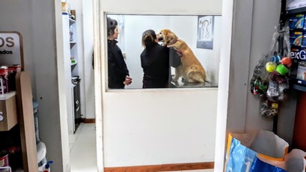 VETERINARIA ORTIZ FLIELLER 