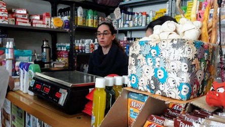 VETERINARIA ORTIZ FLIELLER 