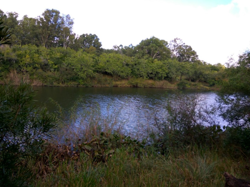 BG ADMINISTRACION Y VENTA CAMPOS, BG ADMINISTRACION Y VENTAS, MINAS 