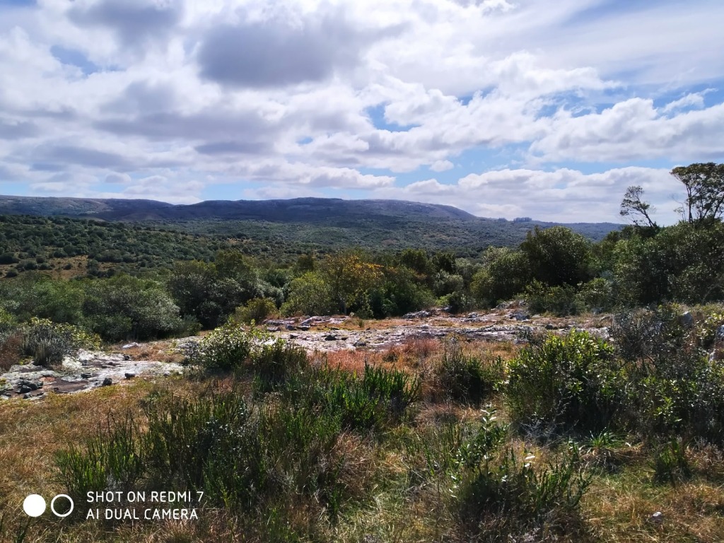 BG ADMINISTRACION Y VENTA CAMPOS, BG ADMINISTRACIÓN Y VENTAS, MINAS 