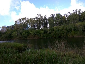 BG ADMINISTRACION Y VENTA CAMPOS, BG ADMINISTRACIÓN Y VENTAS, MINAS