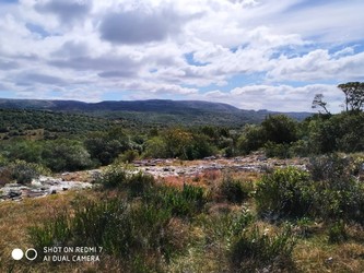 BG ADMINISTRACION Y VENTA CAMPOS, BG ADMINISTRACIÓN Y VENTAS, MINAS