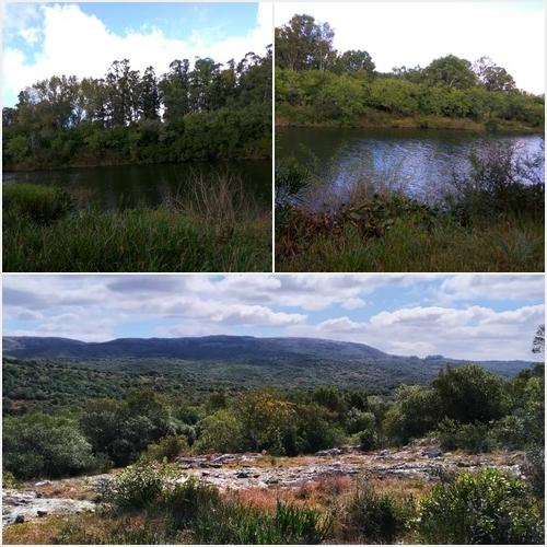 PROPIEDADES A LA VENTA BG ADMINISTRACION Y VENTA