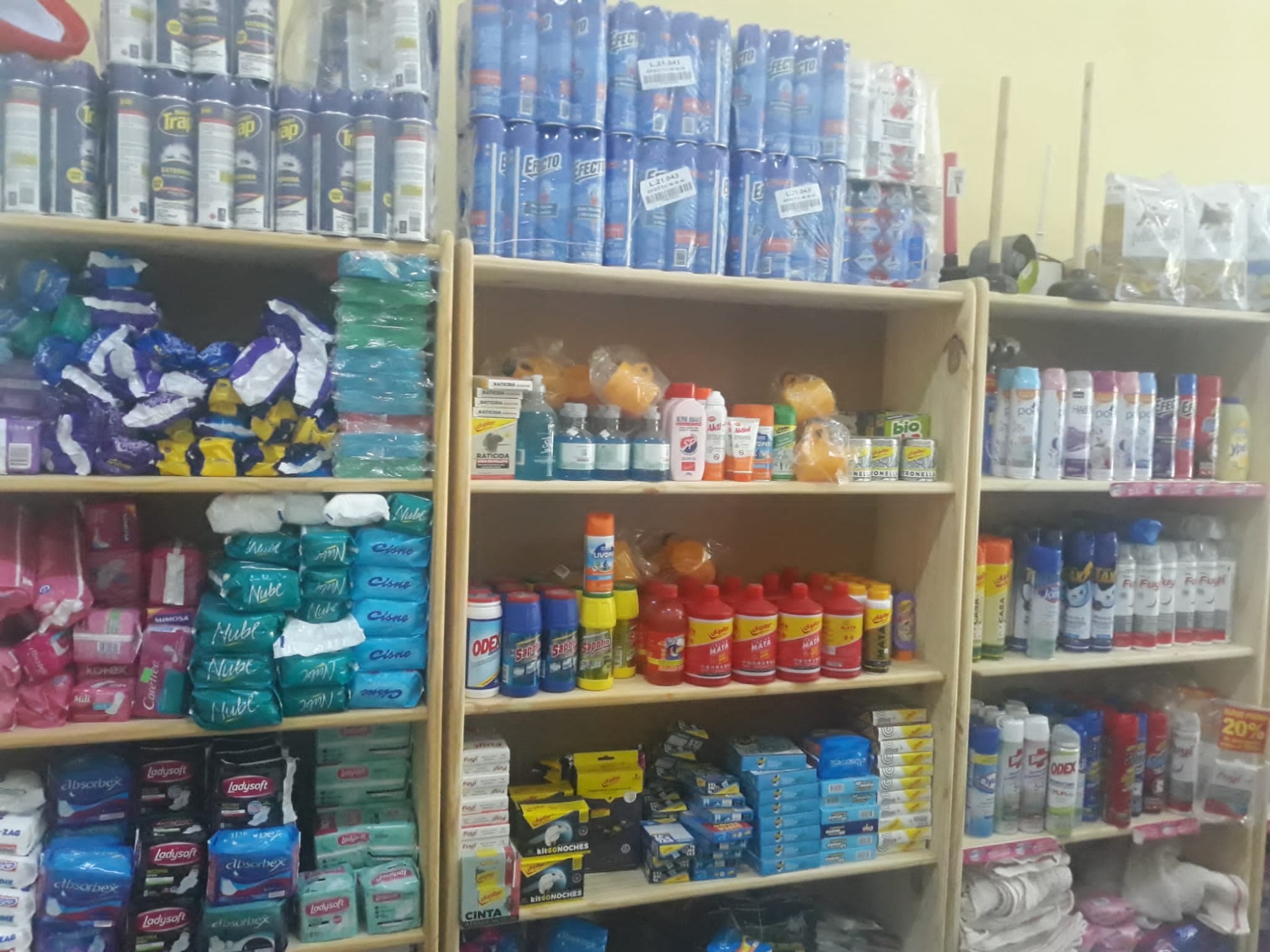 MINIMERCADO ASTURIA Productos de limpieza 