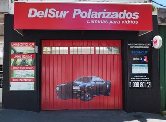 DEL SUR POLARIZADOS 