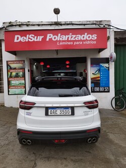 DEL SUR POLARIZADOS 