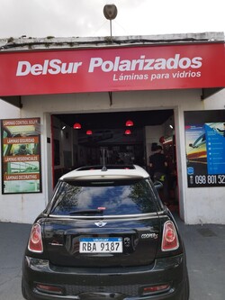 DEL SUR POLARIZADOS 