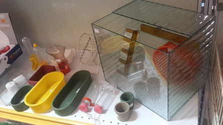 CLINICA VETERINARIA CARAFI 