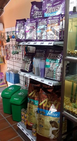 CLINICA VETERINARIA CARAFI 