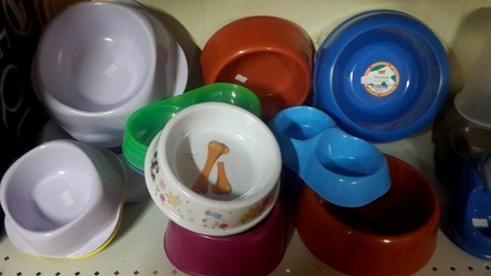 CLINICA VETERINARIA CARAFI 