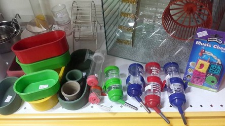 CLINICA VETERINARIA CARAFI 