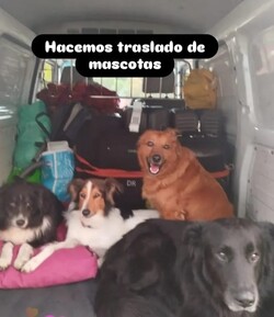 Fletes Chelo 