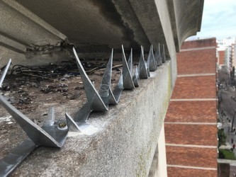 MARCOS SABAJ Pinchos anti - palomas.