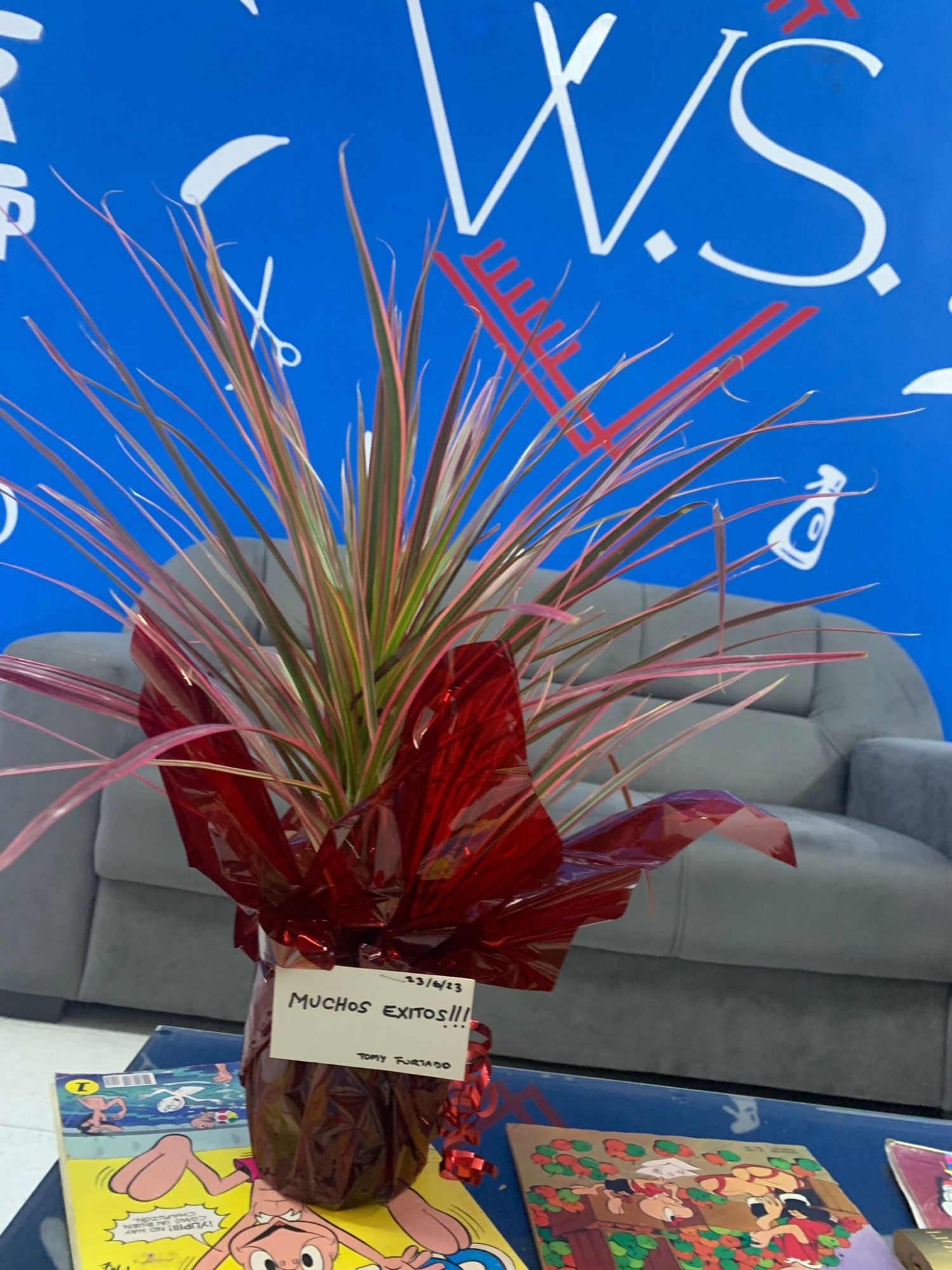 BARBERIA Y ESTILISTA_WS  