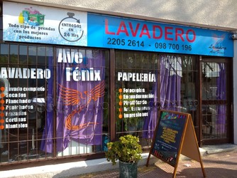 LAVADERO AVE FENIX 