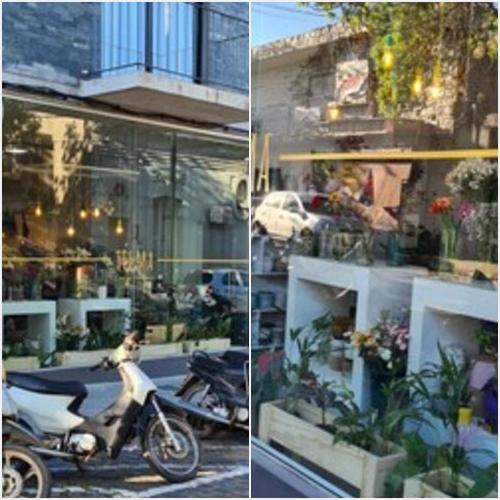 Telma Tienda de flores TELMA