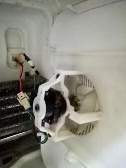 GUSTAVO ANDRES CABRERA 