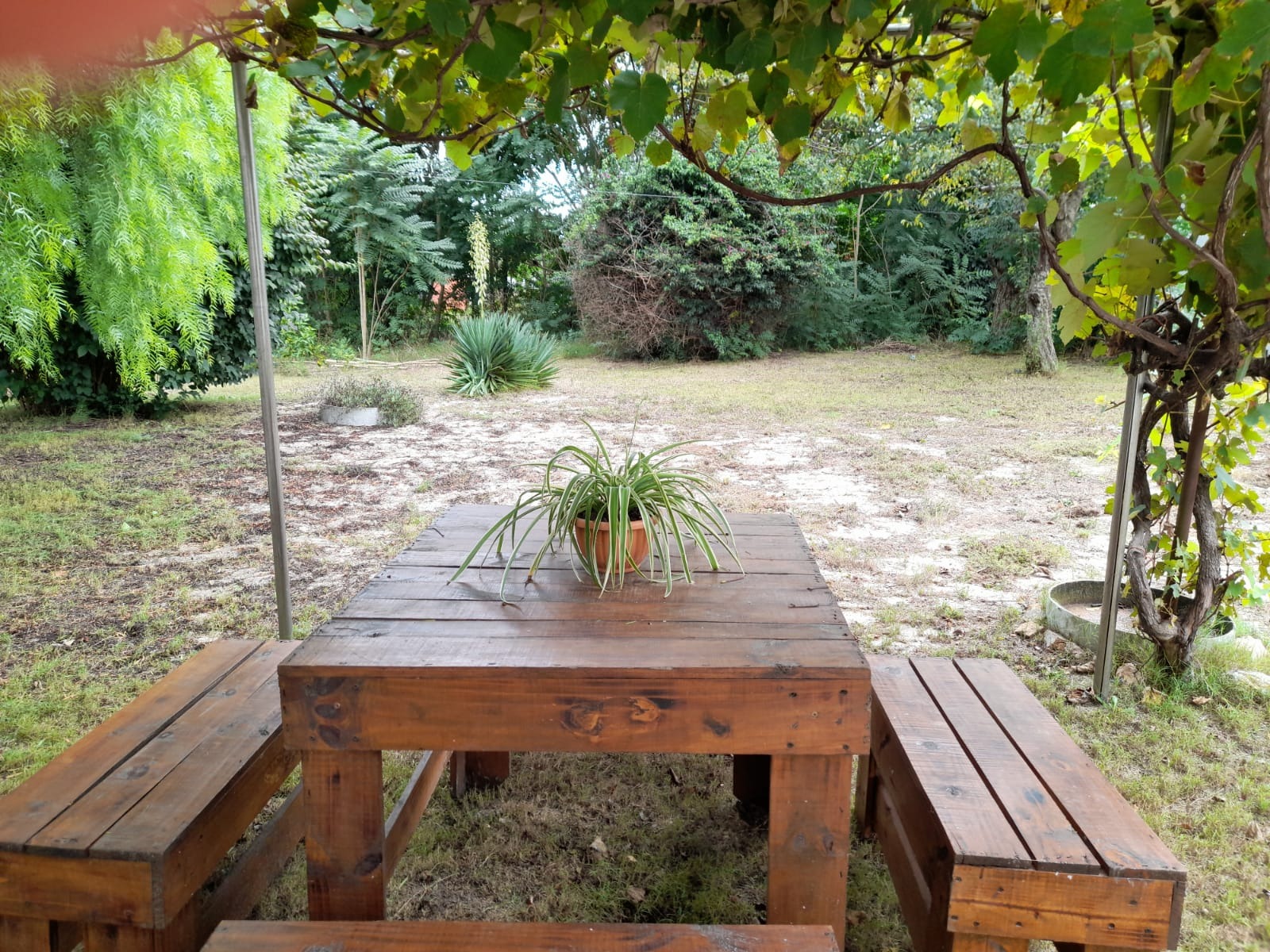 CASA HOGAR LAS LUNAS  