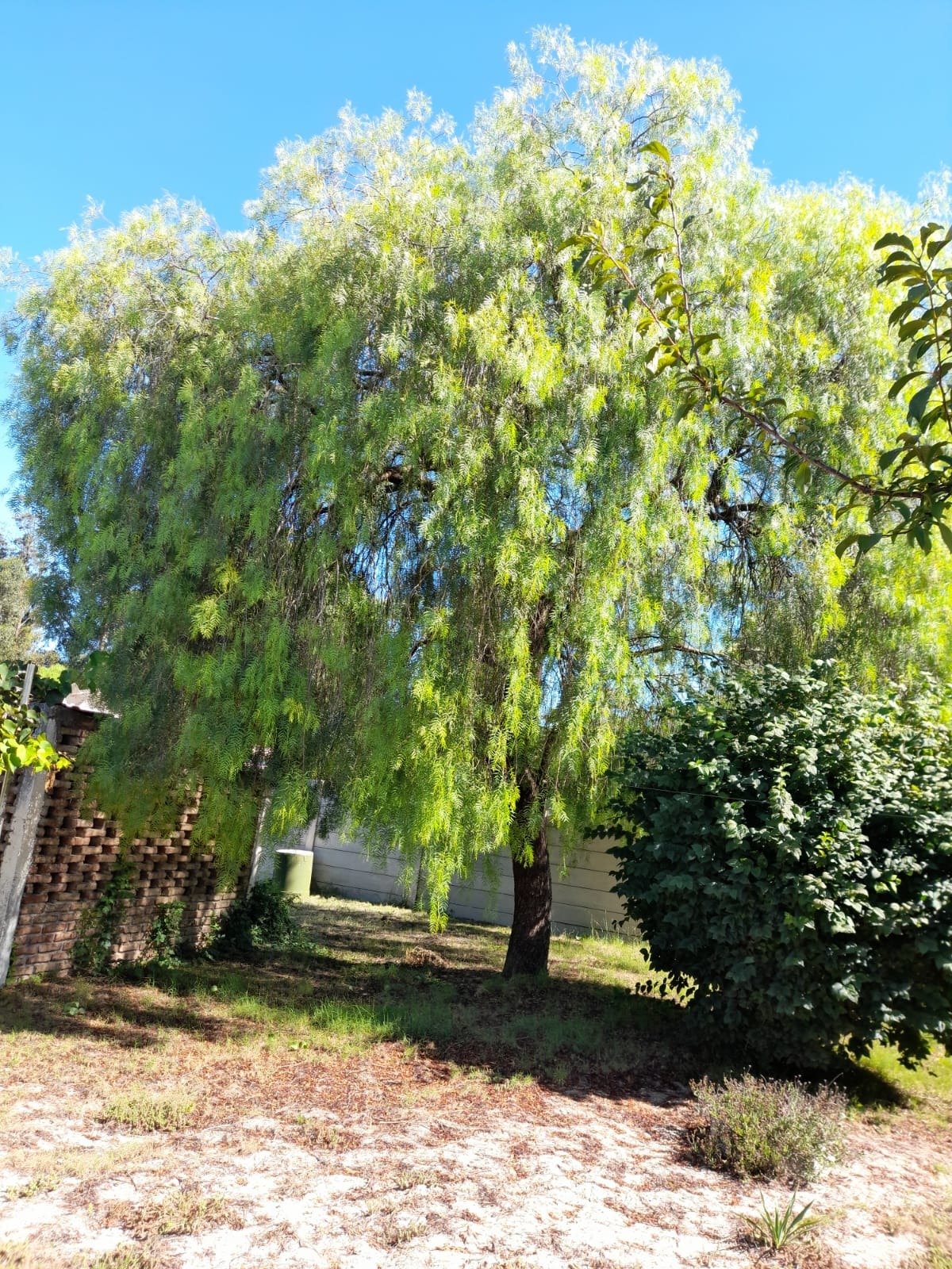 CASA HOGAR LAS LUNAS  