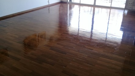 ROMÁN DELIMA Parqué