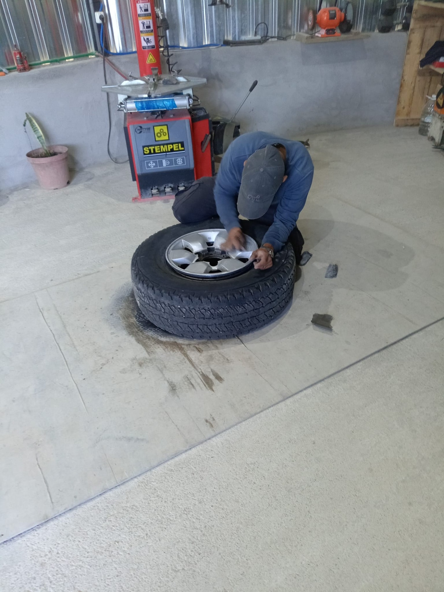 MR TIRE SOLUCIONES MR TIRE SOLUCIONE Polarizado de autos en general