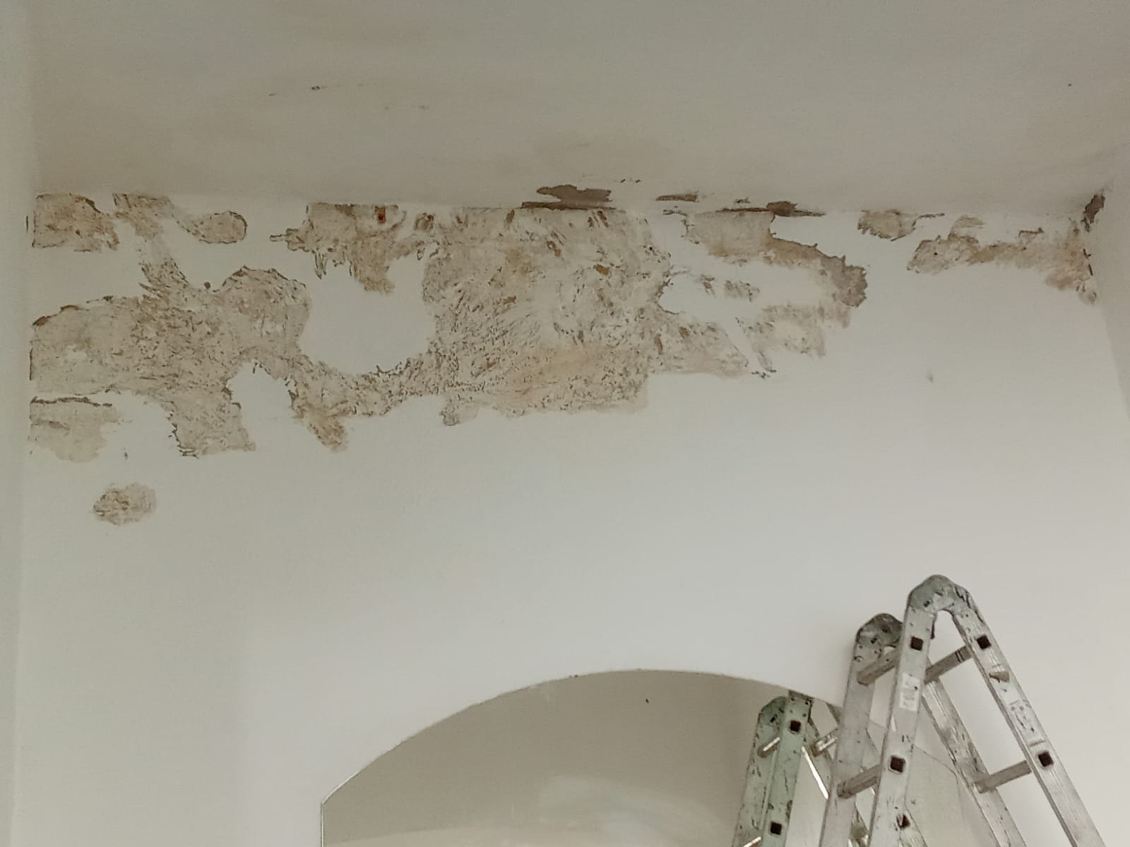 PEC Pinturas e Impermeabilización PEC PINTURAS E IMPERMEABILIZACION CONSTRUCCIONES TECHOS
REFORMAS VIVIENDAS
IMPERMEAB