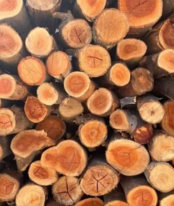 BARRACA DE LEÑA LECOCQ 