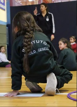 COLEGIO ARNOLD GESELL 