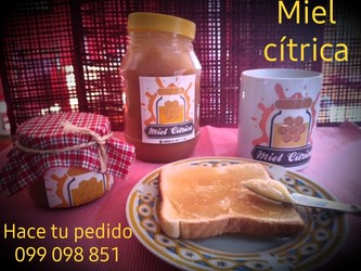 LAVANDERÍA SCHIUMA Miel Cítrica en Cordón