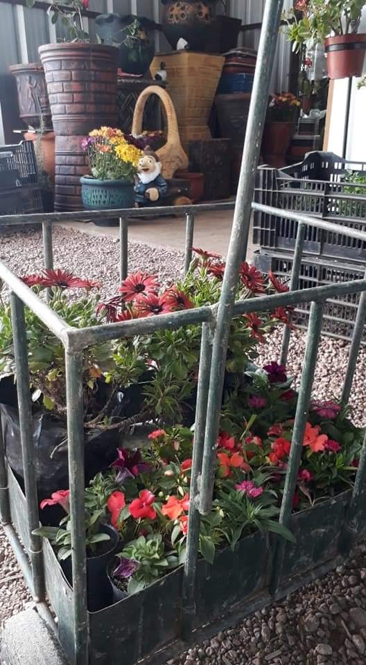 LEÑERIA CIBILS  Flores