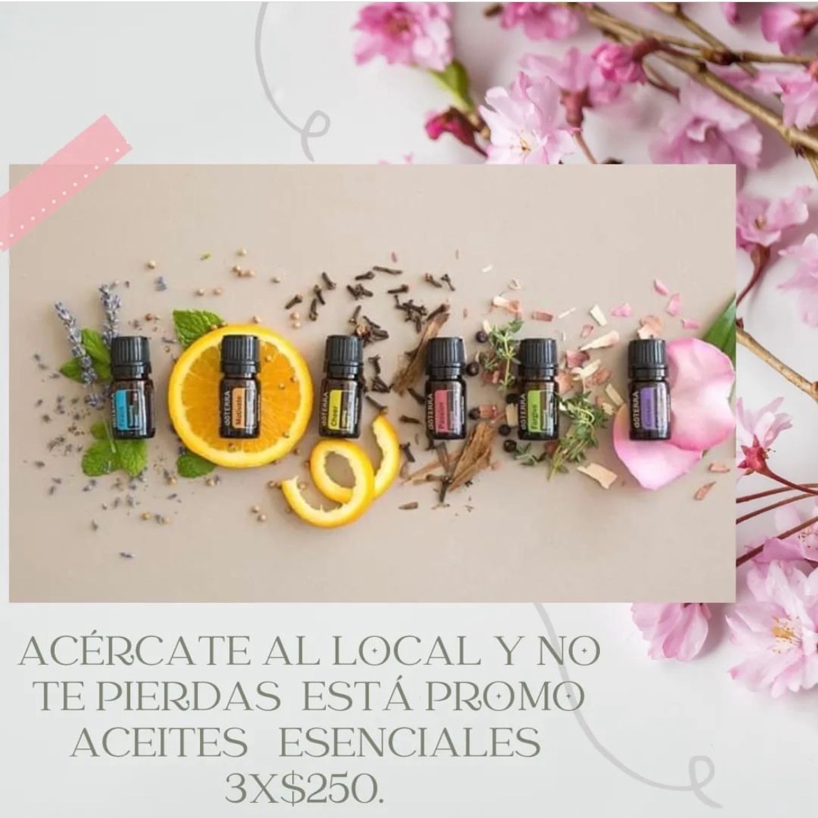 SANTERÍA MARU LOCAL  