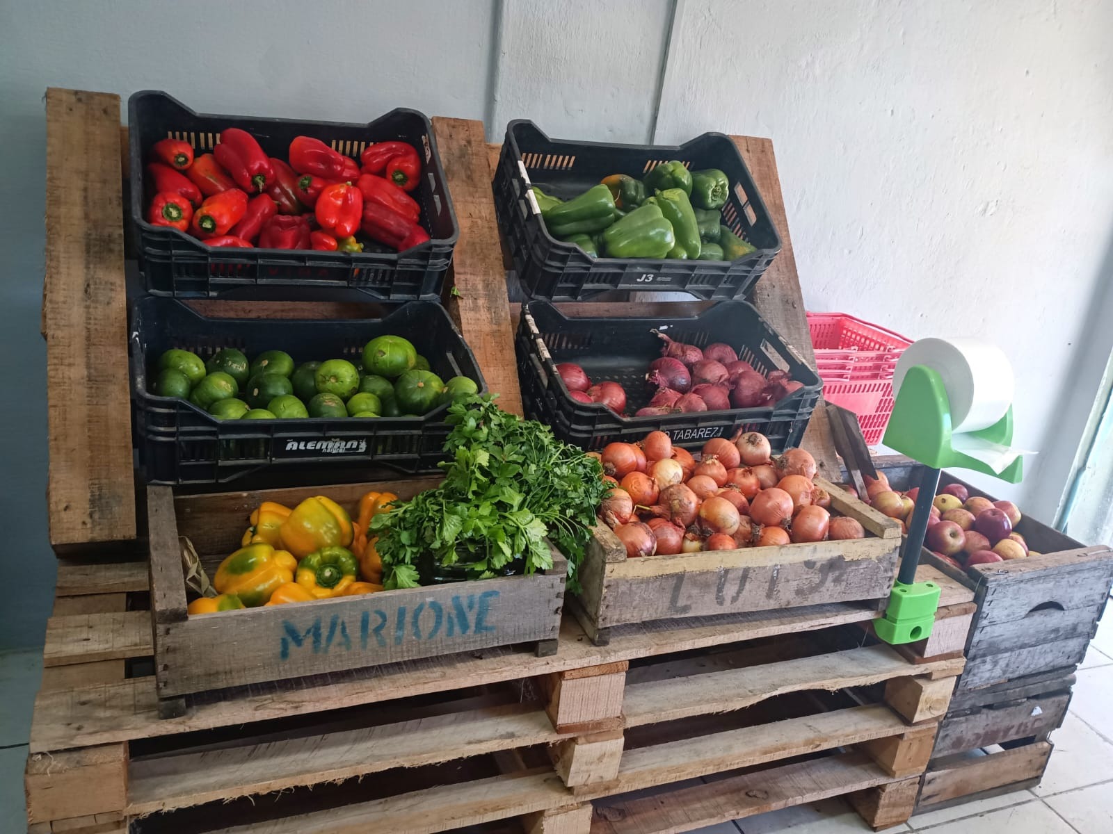 VERDULERIA MANOLO VERDULERIA MANOLO Frutas 
Verduras
Puesto de frutas y verduras