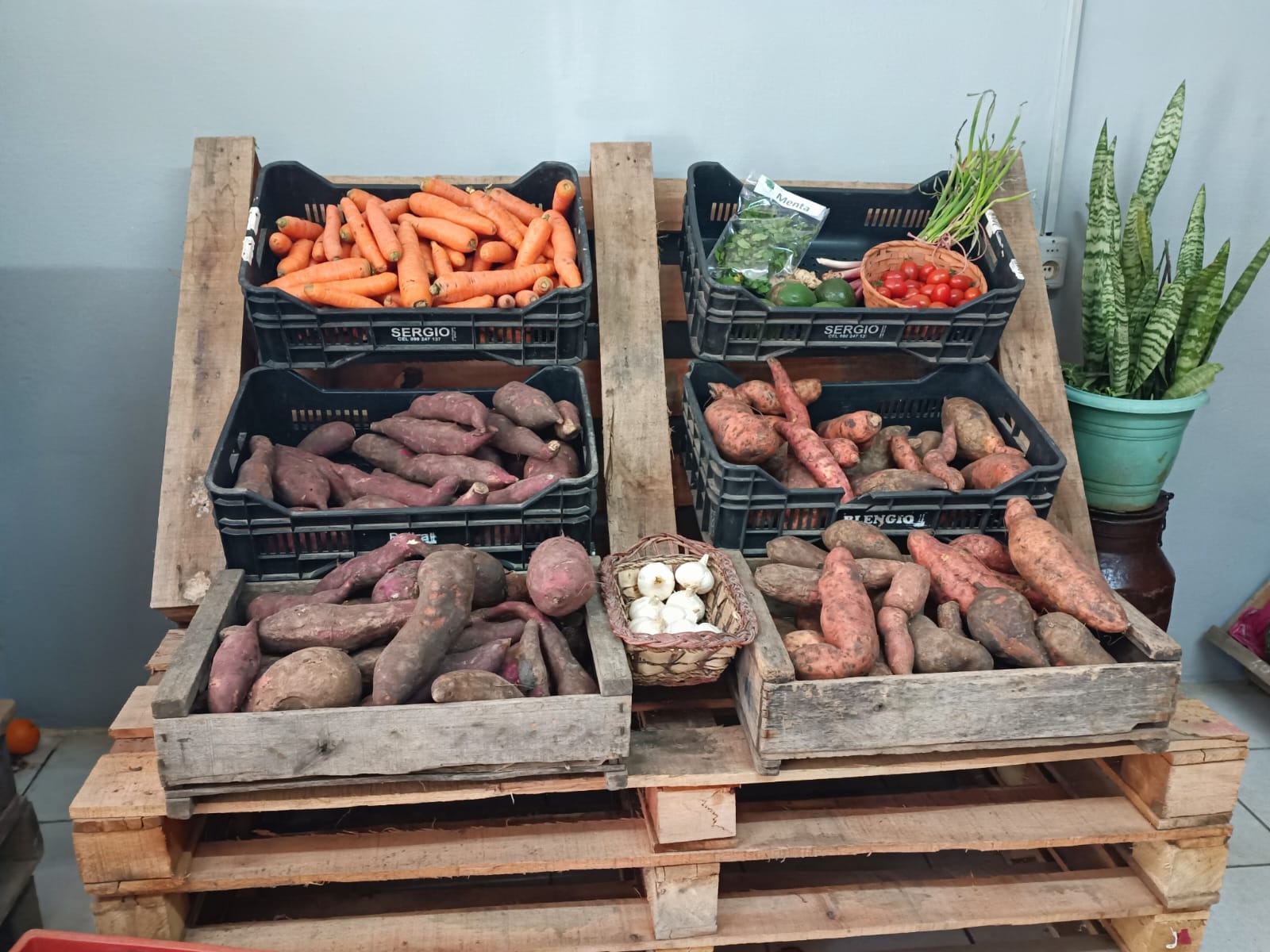 VERDULERIA MANOLO VERDULERIA MANOLO Frutas 
Verduras
Puesto de frutas y verduras