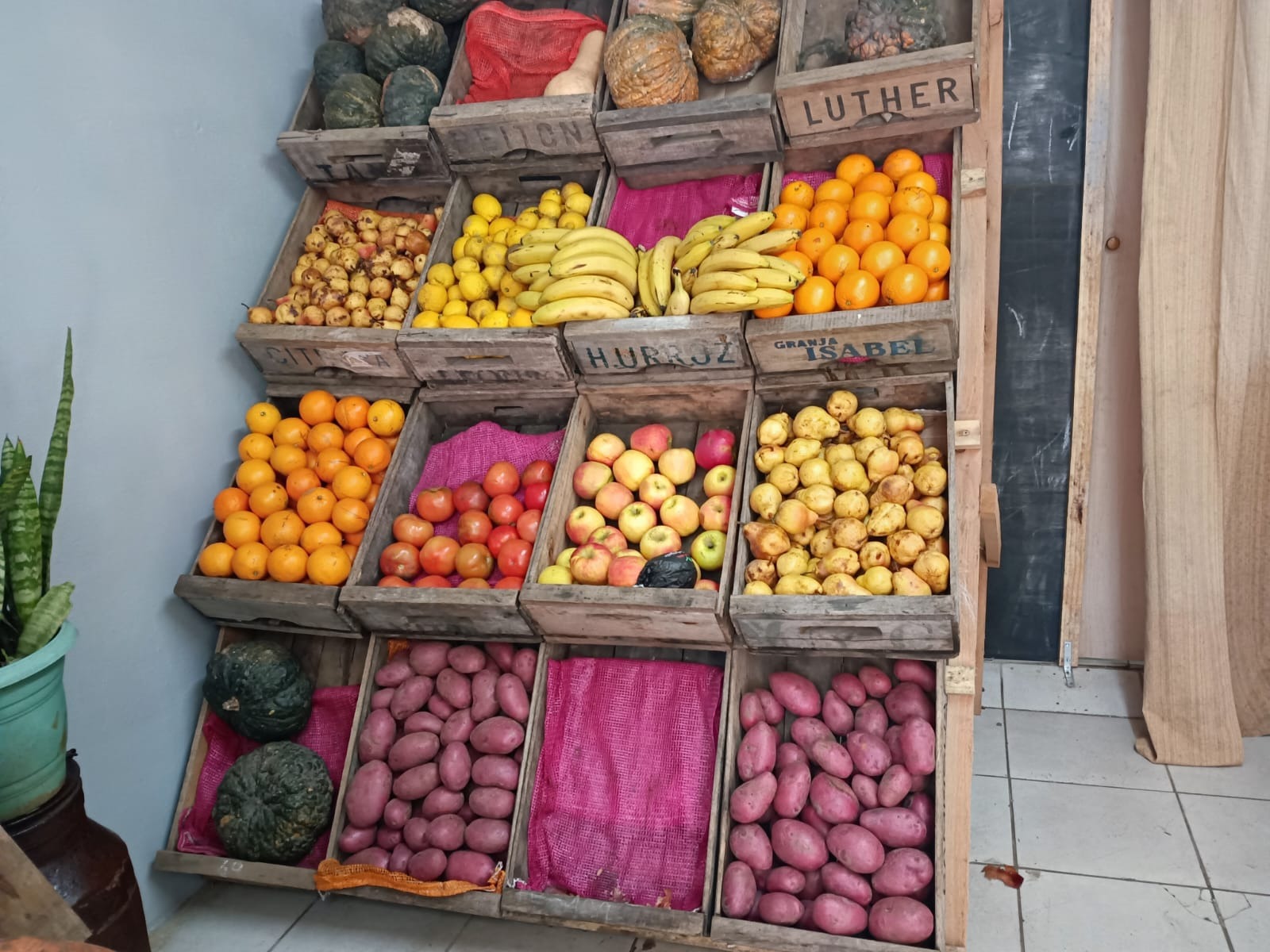 VERDULERIA MANOLO VERDULERIA MANOLO Frutas 
Verduras
Puesto de frutas y verduras