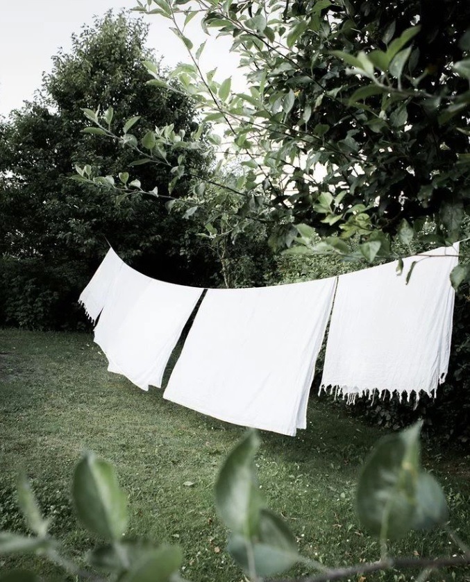 LAVADERO ROSI LAVADERO ROSI PLANCHADO
SECADOS ROPA
LIMPIEZA FRAZADAS
LIMPIEZA 