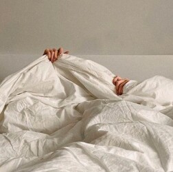 LAVADERO ROSI LAVADERO ROSI