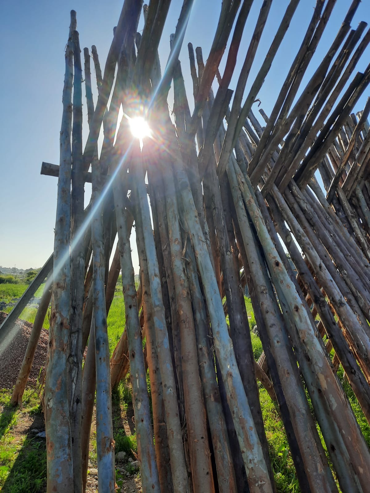 BARRACA Y LEÑERÍA LO DE RAMIRO  
