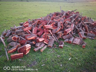 BARRACA Y LEÑERÍA LO DE RAMIRO 