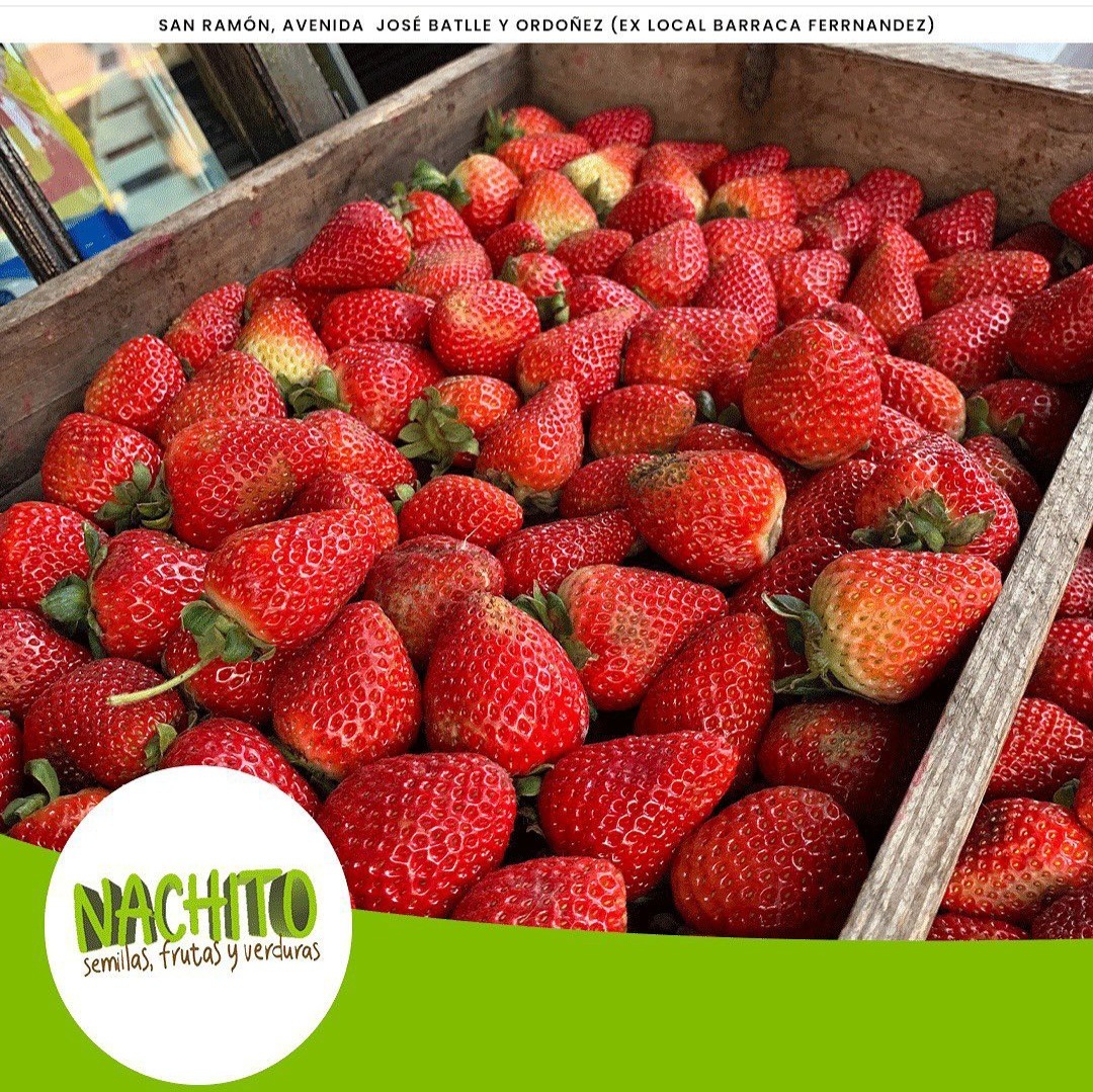 NACHITO FRUTAS Y VERDURAS  