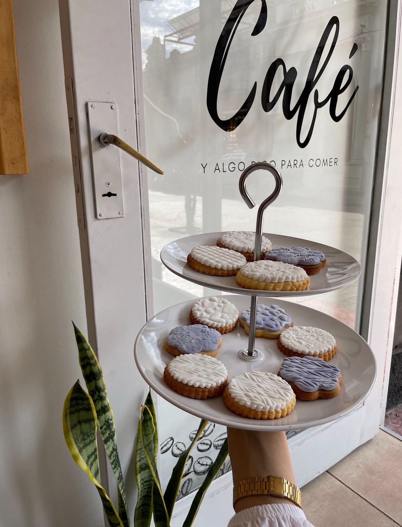 Cebra azul Second Hand & Café  