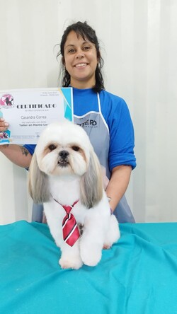 PELUQUERIA CANINA LILI 