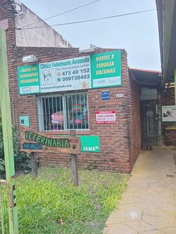 VETERINARIA AMANCIA VETERINARIA AMANCIA