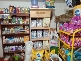 VETERINARIA AMANCIA VETERINARIA AMANCIA