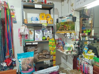 VETERINARIA AMANCIA VETERINARIA AMANCIA