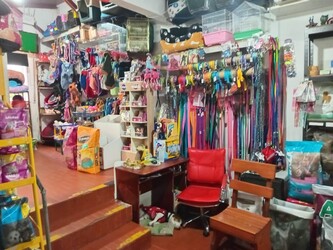 VETERINARIA AMANCIA VETERINARIA AMANCIA